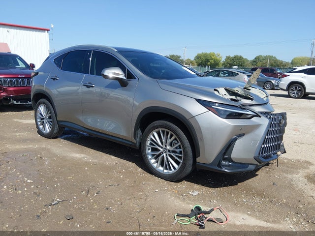 2024 Lexus NX 350H Luxury