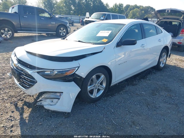 2019 CHEVROLET MALIBU 1FL 2