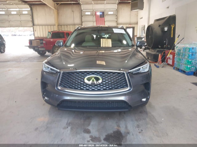 2019 INFINITI QX50 LUXE 13
