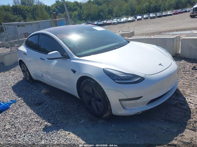 2020 Tesla Model 3 Standard Range Plus Rear-Wheel Drive/Standard Range Rear-Wheel Drive