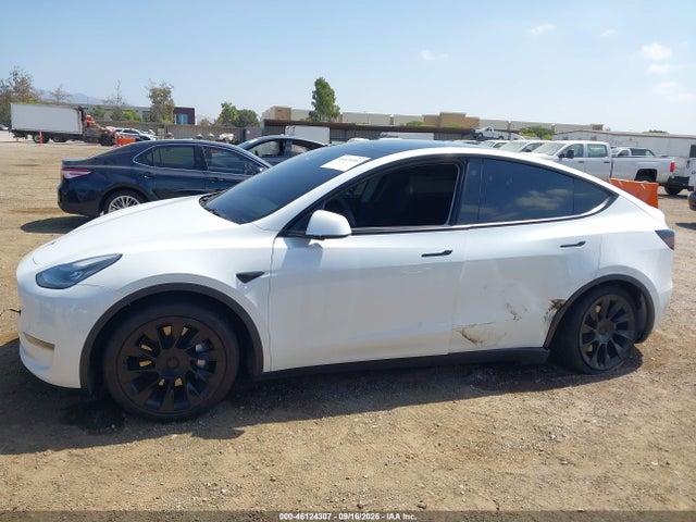2021 TESLA MODEL Y STANDARD RANGE REAR-WHEEL DRIVE 13