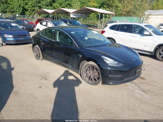 2020 Tesla Model 3 Standard Range Plus Rear-Wheel Drive/Standard Range Rear-Wheel Drive