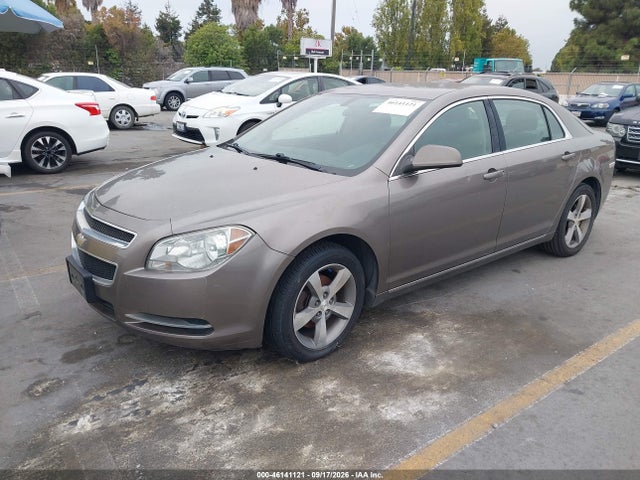 2011 Chevrolet MALIBU 1LT — фото 2
