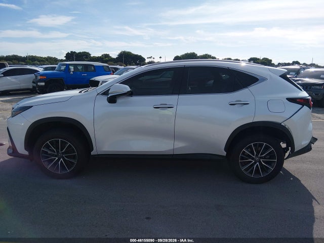 2024 LEXUS NX 250 14