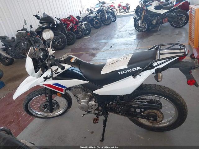 2025 HONDA XR150L E 12