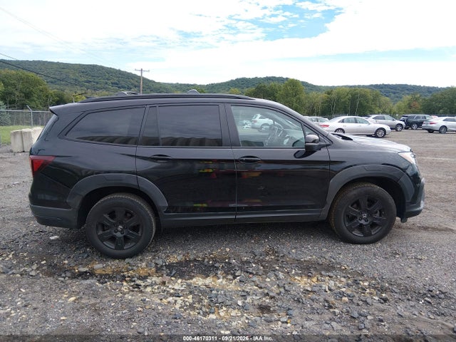 2022 HONDA PILOT TRAILSPORT 13