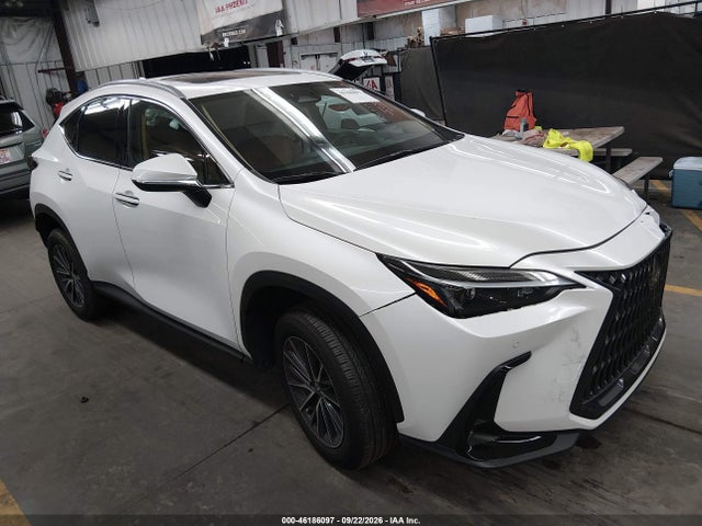 2025 LEXUS NX 250