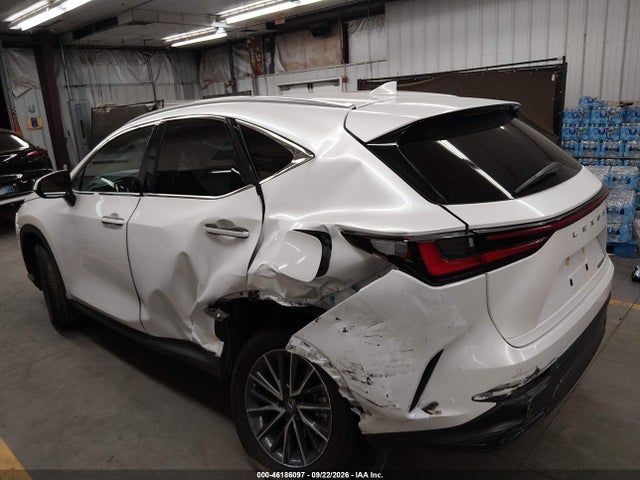 2025 LEXUS NX 250 6