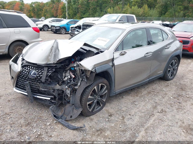 2019 LEXUS UX 250H 2