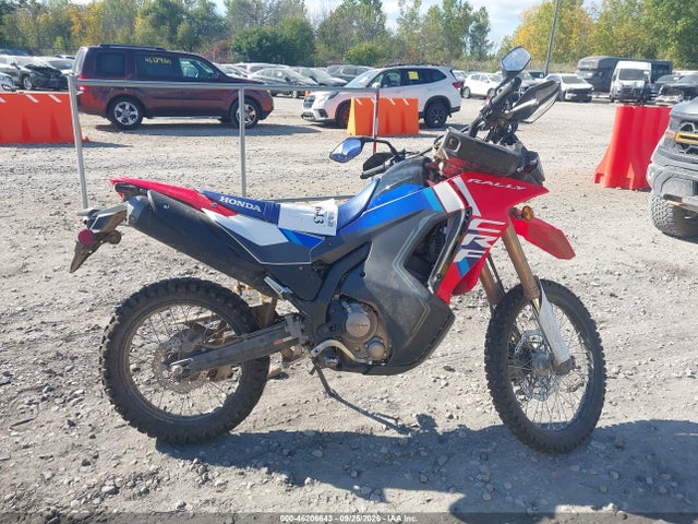 2025 HONDA CRF300 LRA 12