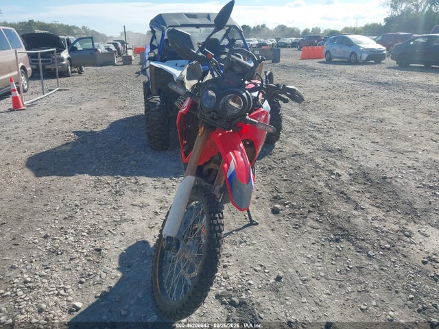 2025 HONDA CRF300 LRA 5