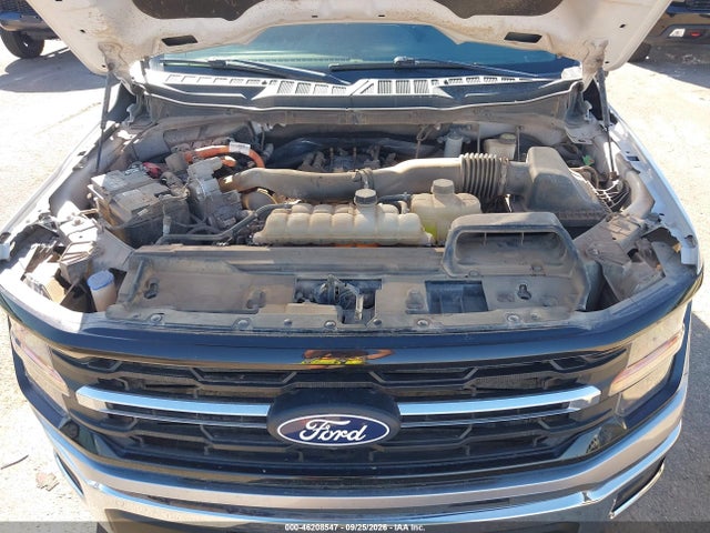 2024 FORD F-150 XLT 10