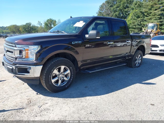 2019 FORD F-150 XLT 2