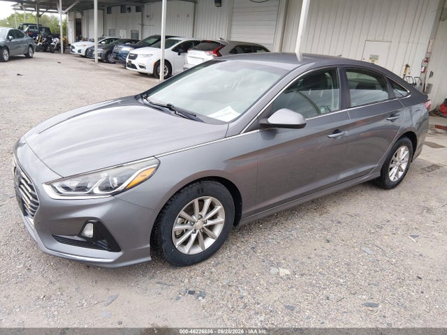 2019 HYUNDAI SONATA ECO 2