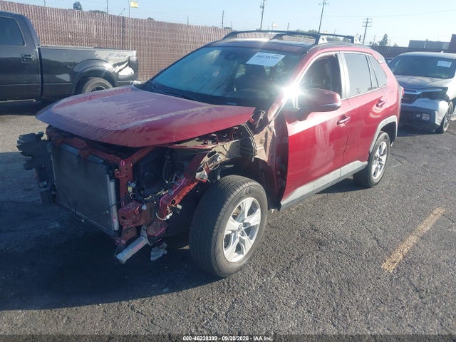 2019 TOYOTA RAV4 XLE