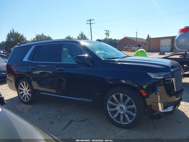 2024 CADILLAC ESCALADE 4WD PREMIUM LUXURY PLATINUM 13