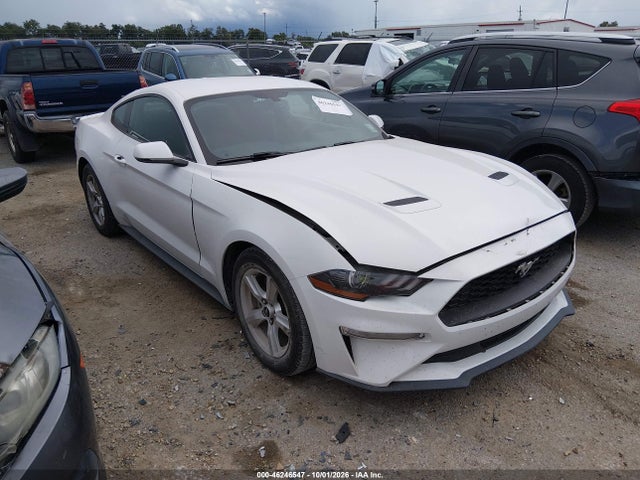 2019 FORD MUSTANG ECOBOOST