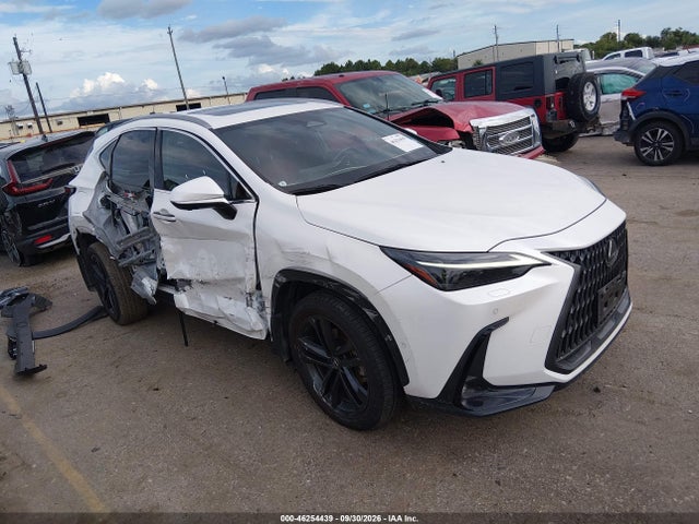 2024 LEXUS NX 450H+ LUXURY 13