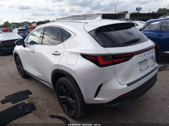 2024 LEXUS NX 450H+ LUXURY 14