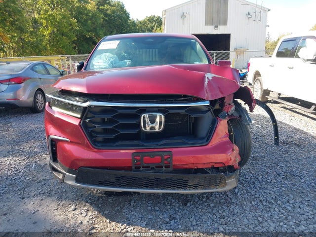 2025 HONDA PILOT EX-L 12