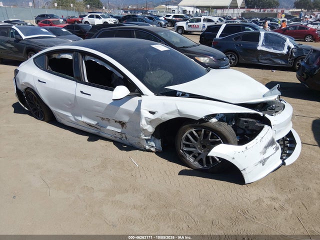2025 TESLA MODEL 3 LONG RANGE REAR-WHEEL DRIVE/STANDARD REAR-WHEEL DRIVE