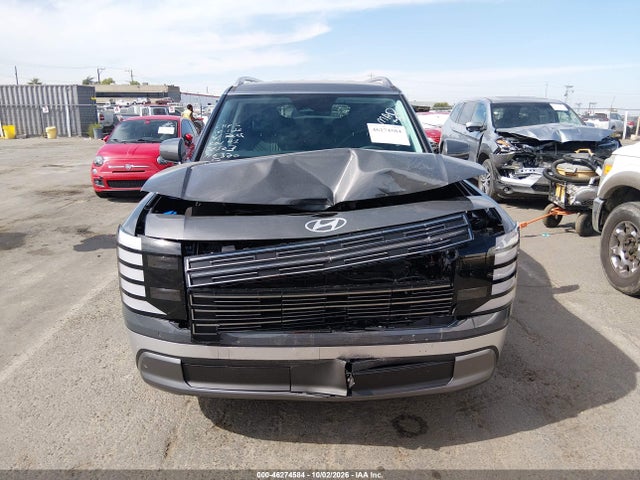 2027 HYUNDAI PALISADE 12