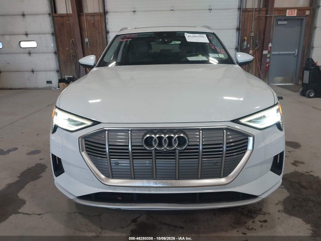 2019 AUDI E-TRON PREMIUM PLUS 12