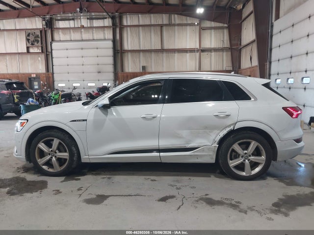 2019 AUDI E-TRON PREMIUM PLUS 14