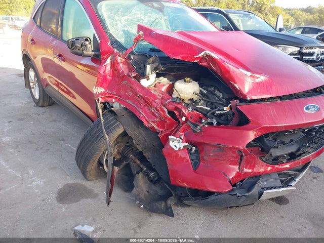 2020 FORD ESCAPE SE 6