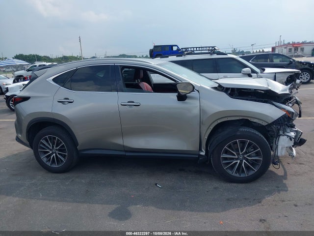 2025 LEXUS NX 250 13