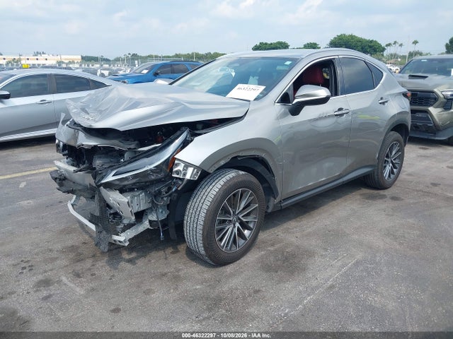 2025 LEXUS NX 250 2