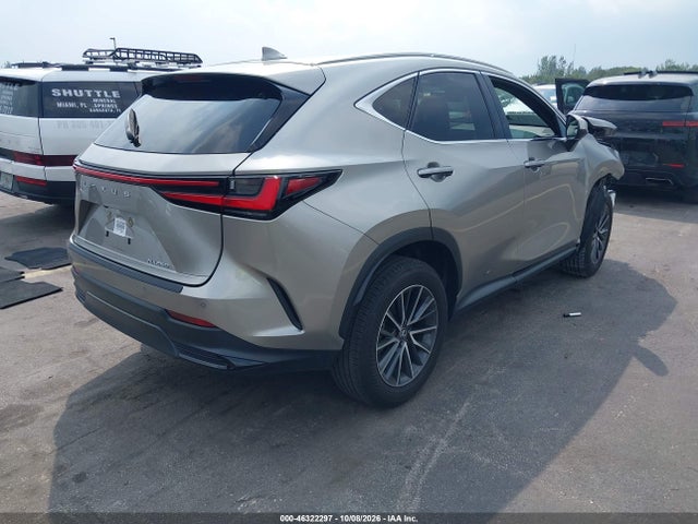 2025 LEXUS NX 250 4