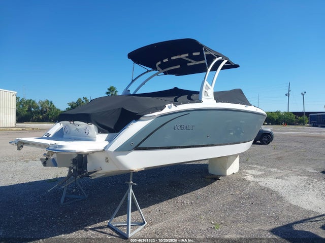2019 COBALT OTHER 4