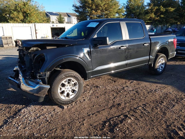 2023 FORD F-150 XLT 2