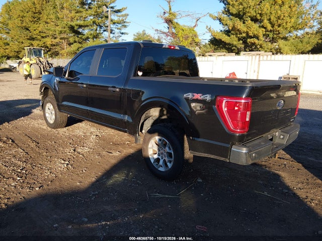 2023 FORD F-150 XLT 3