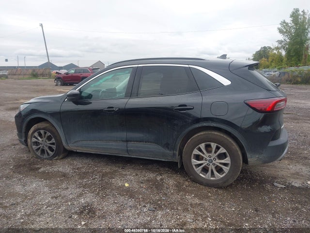2024 FORD ESCAPE ACTIVE 13