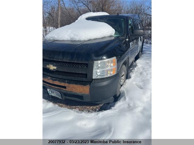 Chevrolet Silverado 1500 Wt 2011 1GCNCPEX0BZ131889 Image 2