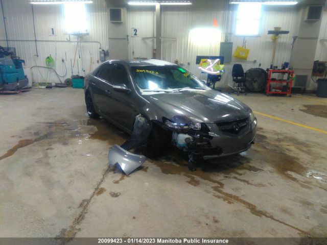 Auction sale of the 2007 Acura Tl, vin: 19UUA66267A802715, lot number: 20099423