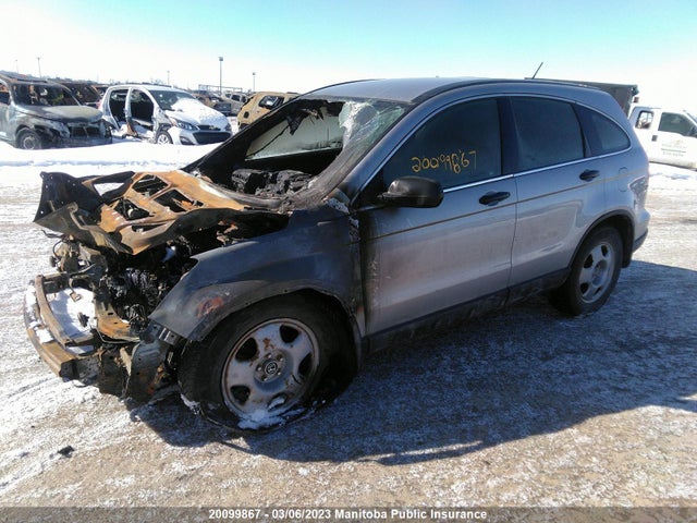 Honda CR-V LX 2007 5J6RE38317L800463 Image 2