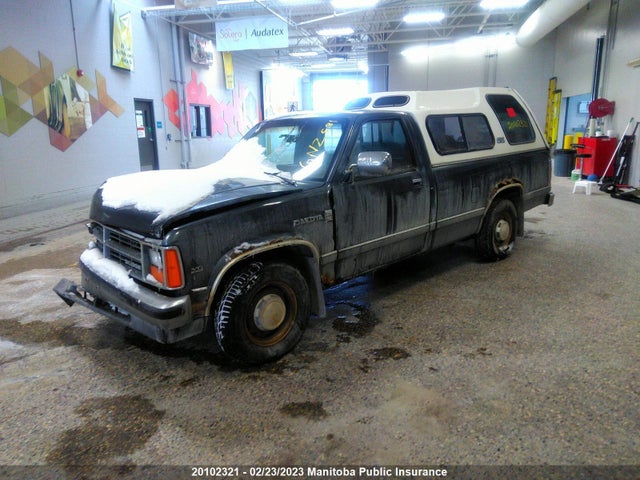 Dodge DAKOTA 1987 1B7GN14M2HS316034 Image 2
