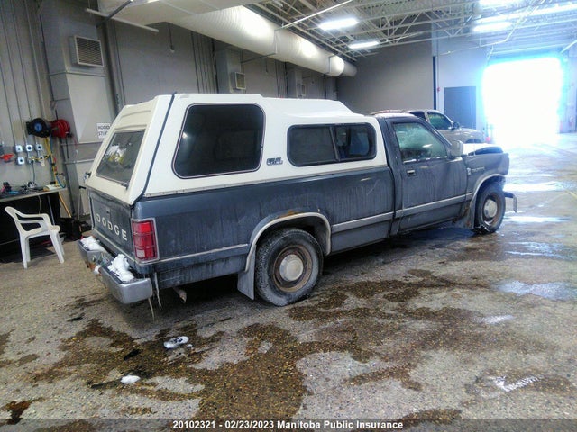 Dodge DAKOTA 1987 1B7GN14M2HS316034 Image 5