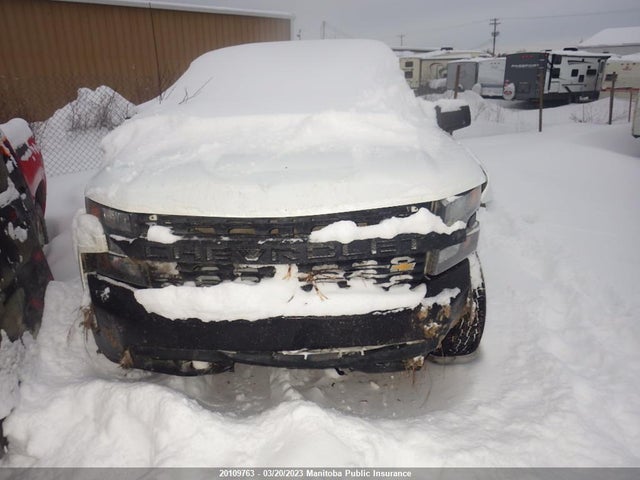 Chevrolet Silverado 1500 Wt Crew Cab  2019 1GCPYAEH4KZ363248 zdjęcie główne