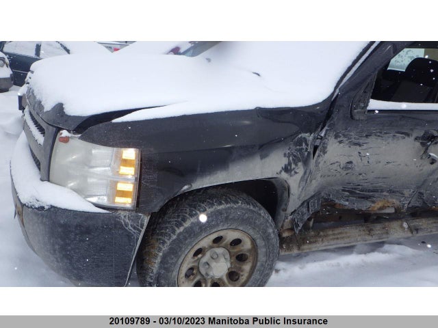 Chevrolet Silverado 1500 Wt Crew Cab  2009 3GCEK13C69G183134 Image 6