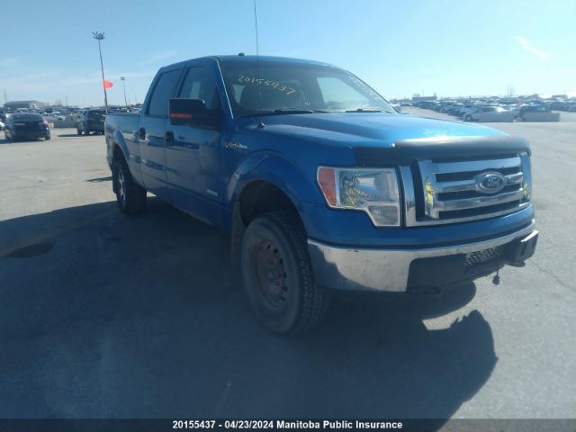 Auction sale of the 2011 Ford F150 Fx4 Supercrew, vin: 1FTFW1ET6BFB35257, lot number: 20155437