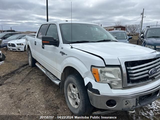 Auction sale of the 2011 Ford F150 Xlt Supercrew , vin: 1FTFW1EF7BFA22508, lot number: 20158707