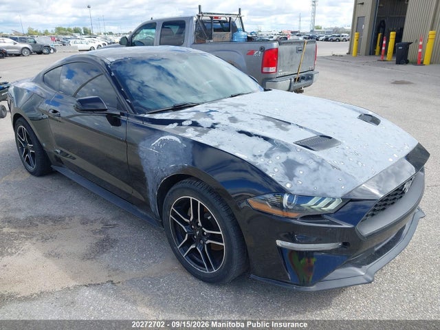 صورة 1 لـ 2019 FORD MUSTANG