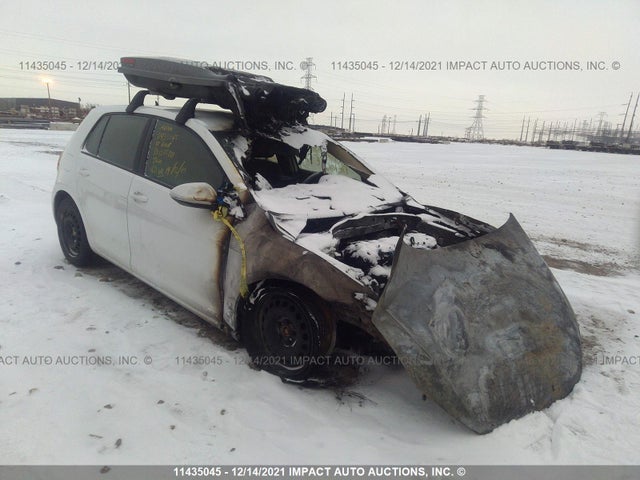 3VW217AU2HM055121 auction archive image