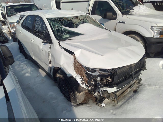 Chevrolet EQUINOX LS 2021 2GNAXHEV6M6125429 Image 1