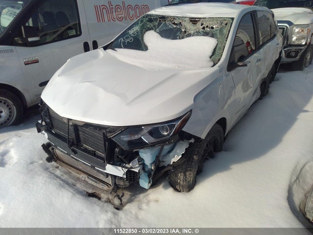 Chevrolet EQUINOX LS 2021 2GNAXHEV6M6125429 Image 2