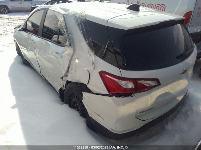 Chevrolet EQUINOX LS 2021 2GNAXHEV6M6125429 Image 3